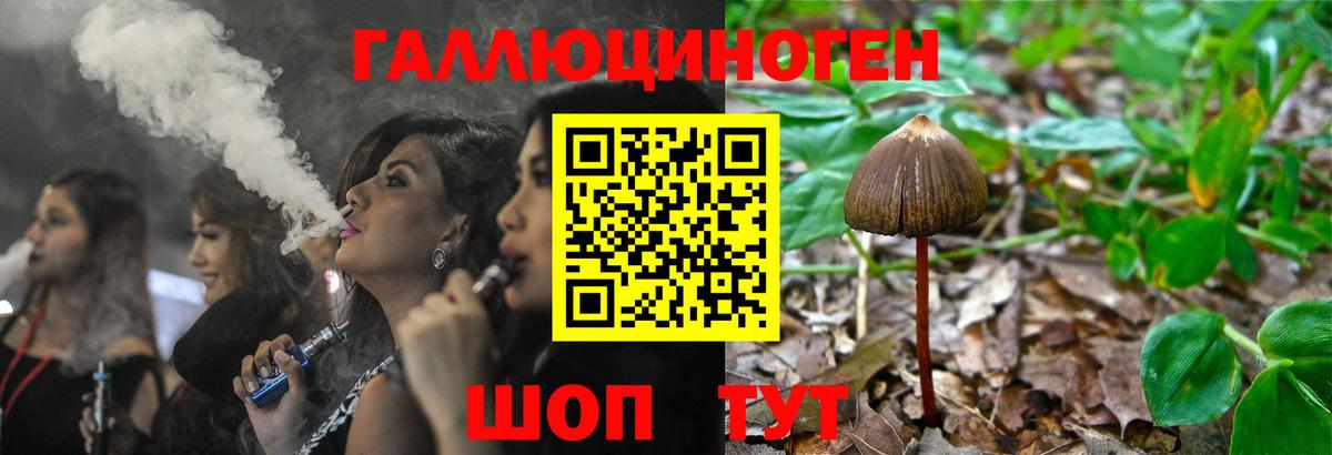 Псилоцибиновые грибы Psilocybe  Вход с VPN  Галлюциногенные грибы мицелий  Надым 
